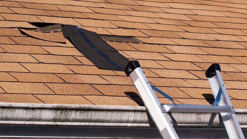 Ladder on roof with some tiles missing