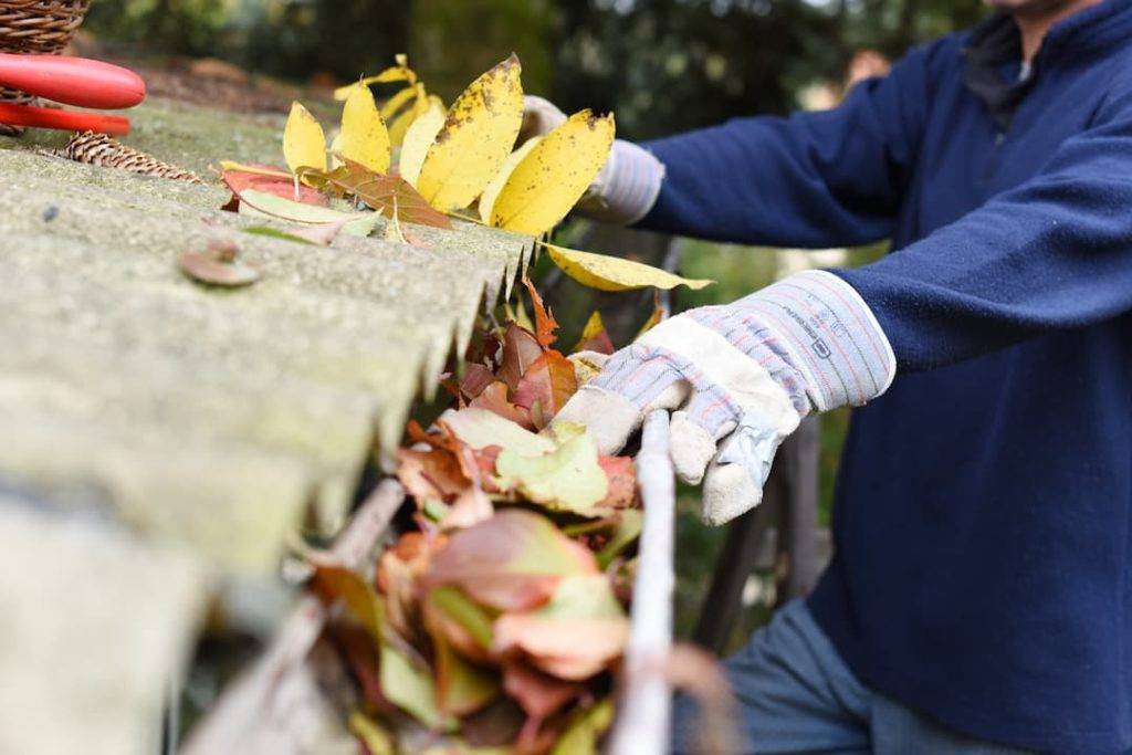Cleaning Leaves Out Of The Gutter