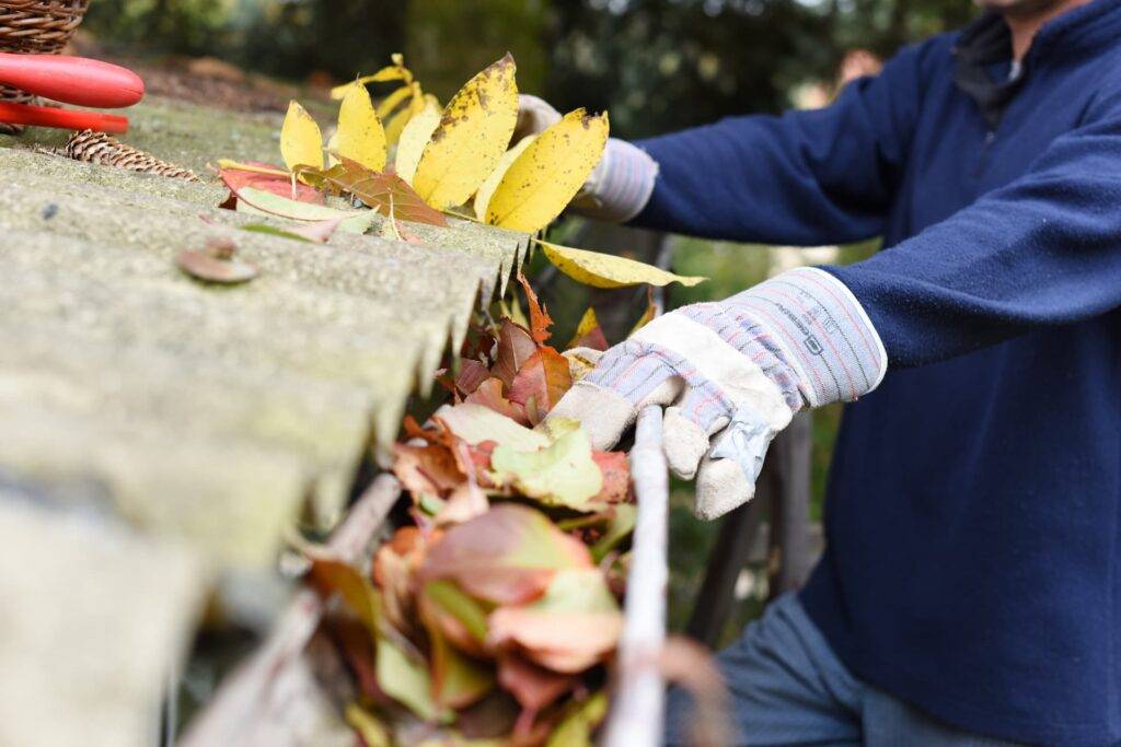 guttering filled with leaves